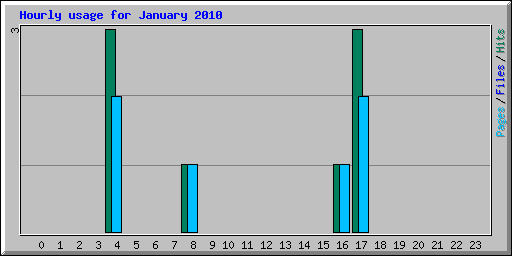 Hourly usage for January 2010